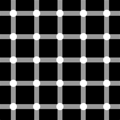 The Hermann Grid Illusion Occurs When Dark Squares Situated Within A