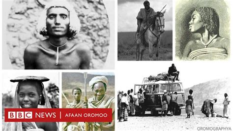 Seenaa Oromoo Oromo Graphya Fi Seenaa Oromoo Arabootaan Barreeffame