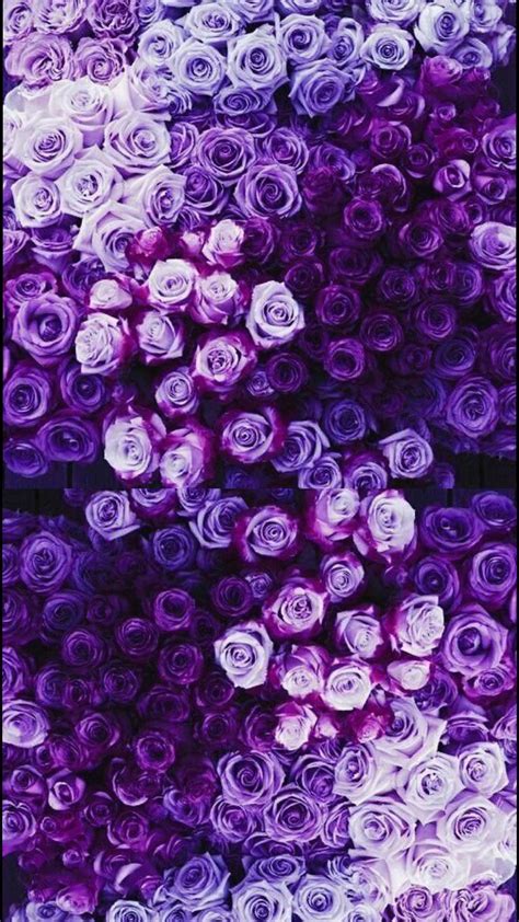 Wallpaper Pastel Purple Aesthetic Flowers Download Free Mock Up