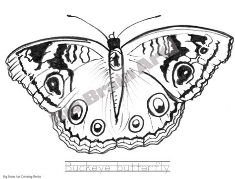 Butterflies Coloring Book 10 pages