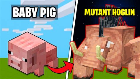 Evolving Baby Pig To Mutant Hoglin In Minecraft Youtube
