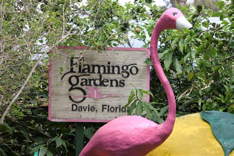 Florida Best Tourist Attractions And Places To Visit Flamingo Gardens
