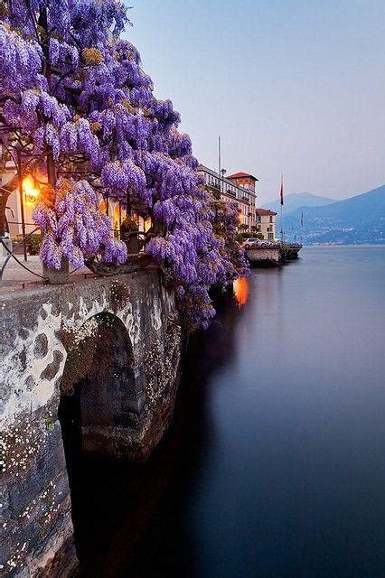 Italy Honeymoon Wisteria Lake Como Italy 2027145 Weddbook