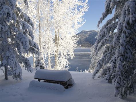 無料画像 風景 木 自然 コールド 山脈 氷 天気 シーズン カナダ 猛吹雪 冬の夢 ピステ 凍結