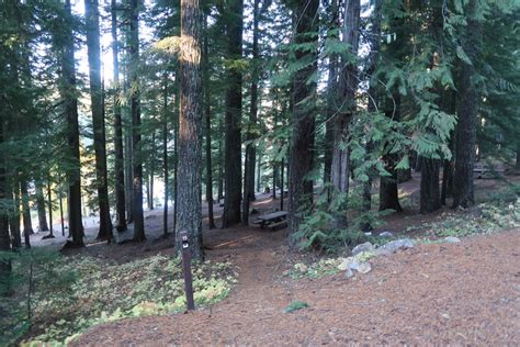 Goose Lake Campground Ford Pinchot National Forest Washington