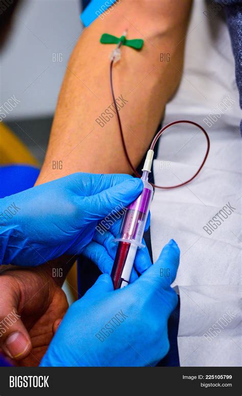 Nurse Collecting Blood Image And Photo Free Trial Bigstock