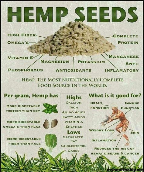 11 tremendous benefits of hemp you must to know my health only