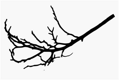Transparent Tree Branch Clipart Black And White Transparent Tree