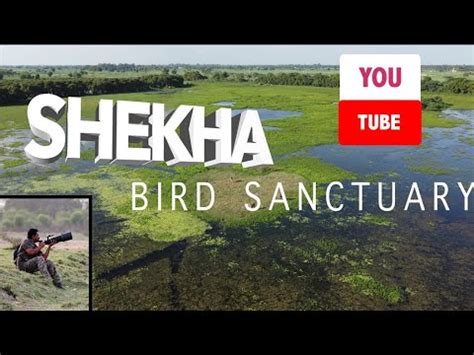 Sanctuaries Of India Birding In Shekha Jheel Bird Sanctuary With