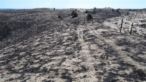 Ecologists Show That Nebraska Sandhills Can Withstand Wildfire