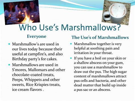 Ppt The Project Of Marshmallows Powerpoint Presentation Free
