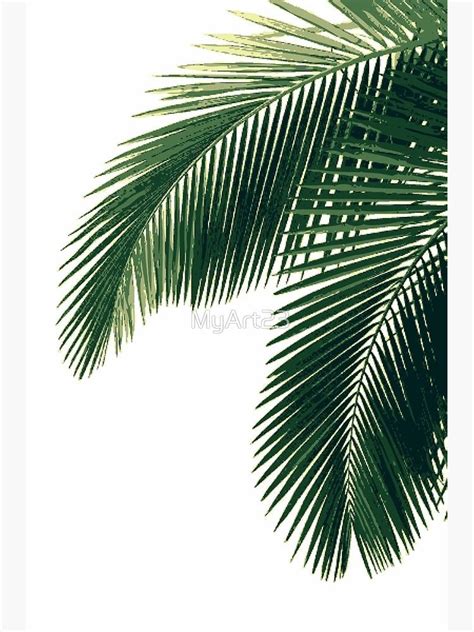 Lienzo Hojas De Palmera Tropical De MyArt23 Plant Wallpaper