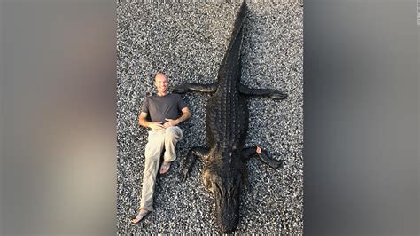 Two Mississippi Boaters Reel In A Massive One Eyed Alligator Weighing