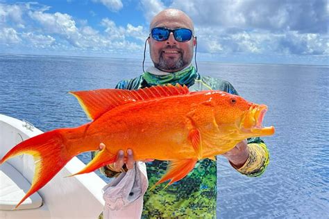 2023 Seychelles Big Game Fishing
