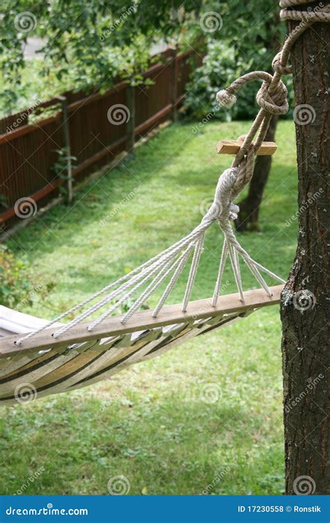 Hammock In Yard Stock Photo Image Of Calm Restful Tranquil 17230558