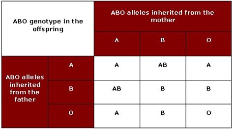 The Abo Blood Group Blood Groups And Red Cell Antigens Ncbi Bookshelf