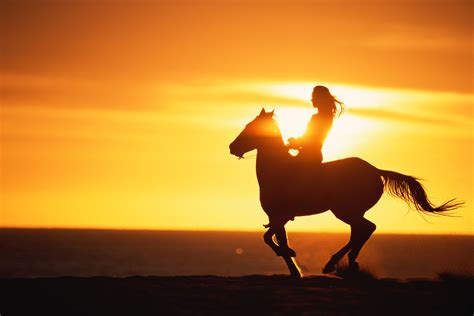 Silhouette Of Woman Riding Horse At Sunset Horse Photos Woman Riding