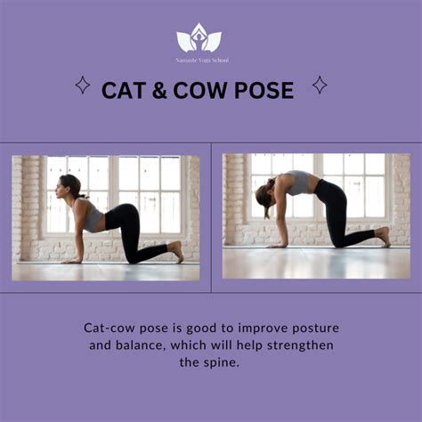 Cat Cow Pose Discover The Alignment Variations And Surprising