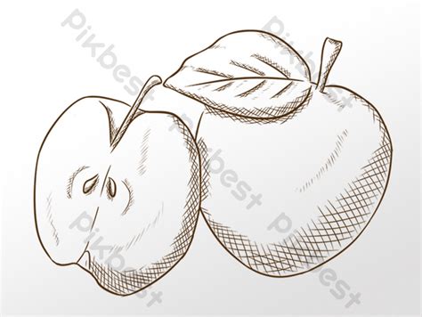 Gambar Gambar Garis Tangan Menggambar Sketsa Ilustrasi Buah Apel