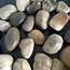 1kg Large Mixed Browns Natural Stones For Vases  Craft Pebbles Table