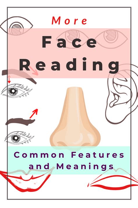 More Chinese Face Reading 12 Common Face Features And Meanings