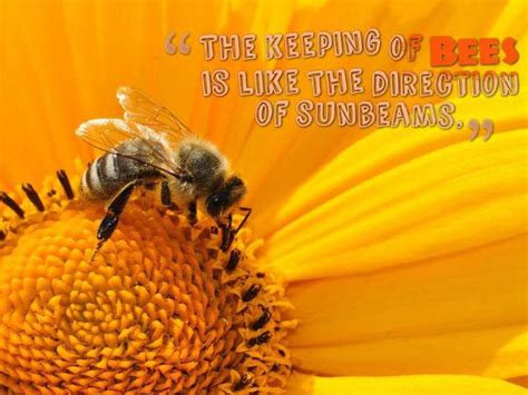 Bees And Flowers Quotes 52 Bee Quotes And Famous Bee Sayings Save The