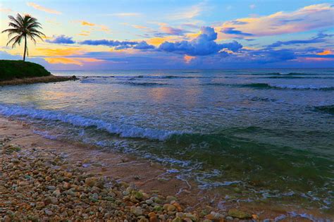 Idyllic Beach At Gold Colored Sunset Montego Bay Jamaica Caribbean Sea