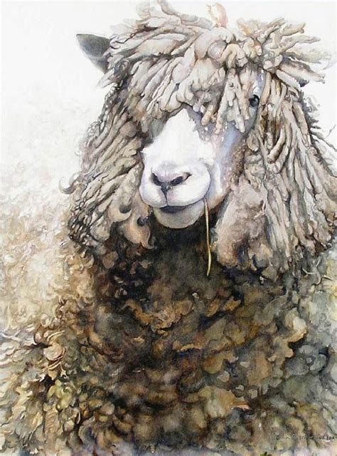 Cotswold Ram With Straw In His Mouth Sheep Art Animal Paintings