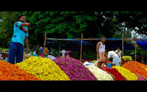 (of a thing) having a low temperature. Onam Pookal | Pookal meaning flowers in Malayalam Language ...