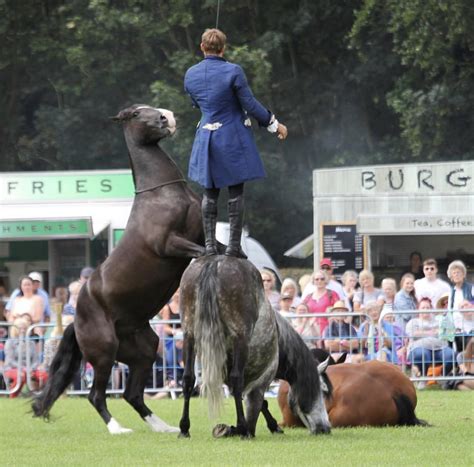 Near Record Attendance For 161st Great Yorkshire Show