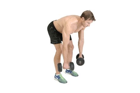25 Best Dumbbell Exercises For Building Muscle Dumbbell Workout Best
