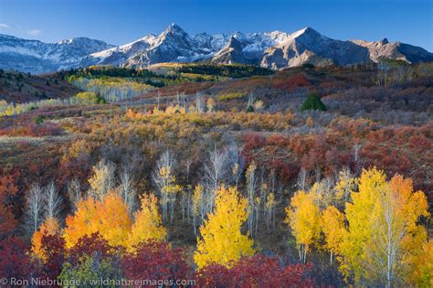 Autumn Colors Dallas Divide San Juan Mountains Colorado Photos