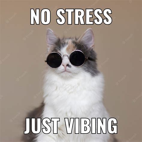 Free Vector Simple Vibing Cat Square Meme