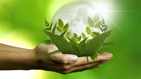 🔥🔥🔥 Como Garantir A Sustentabilidade Da Natureza Sustentabilidade