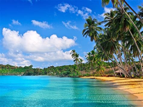 Beach Caribbean Wallpaper Hd 2560x1440