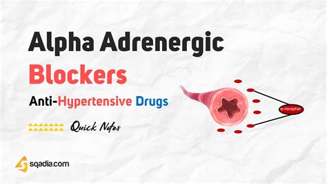 Anti Hypertensive Drugs Alpha Adrenergic Blockers