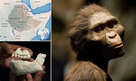 Lucy Was Not Alone 4 Different Human Species Lived 3million Years Ago