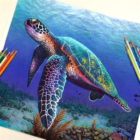 Splendid Realistic Color Pencil Drawings From 22 Year Old Morgan