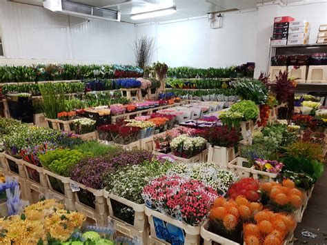 Birmingham, alabama was originally founded as an important industrial center, with its main industries being steel; Home - N S Flowers - birmingham wholesalers of fresh ...