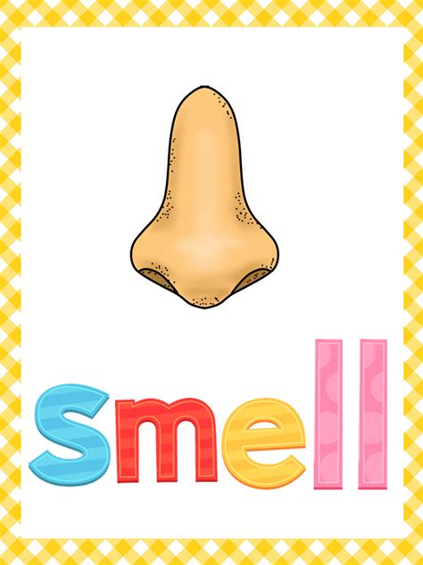 5 Senses Clipart Best