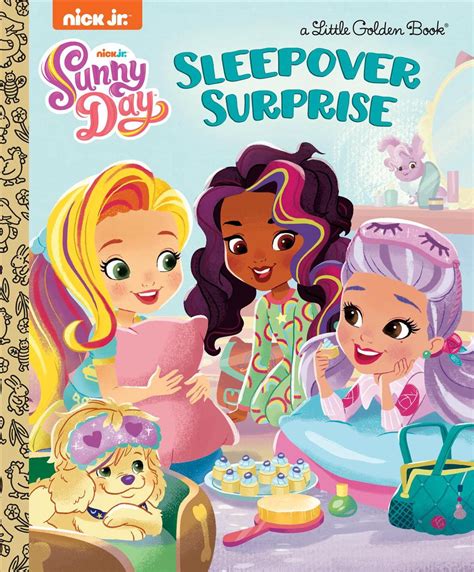 Sleepover Surprise Sunny Day By Mary Tillworth English Hardcover