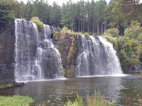 Forest Falls Nature Walk Sabie 2020 All You Need To Know Before You