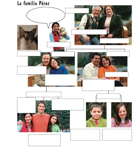 La Familia Perez Diagram Quizlet