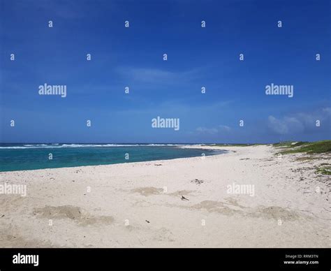 Romantic Sandy Caribbean Beach Stock Photo Alamy
