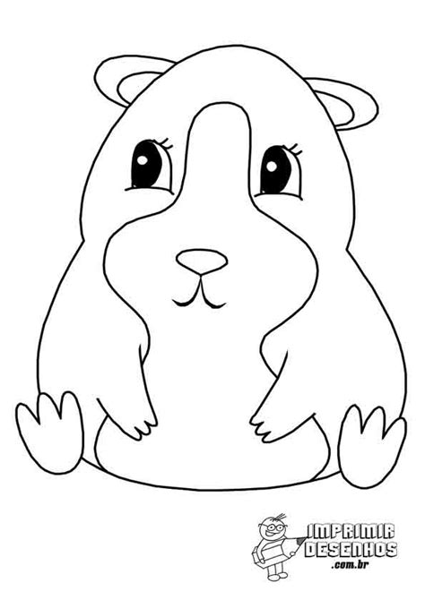 Hamster Para Colorir Imprimir Desenhos
