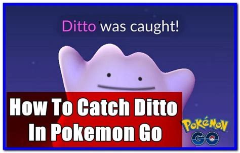Guide To Catch Ditto In Pokemon Go 2024 Gameinstants