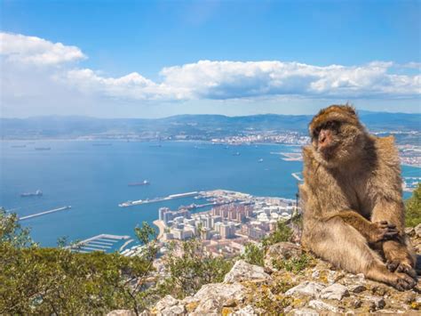 Gibraltar Day Trip From Seville Tours Activities Fun Things To Do In