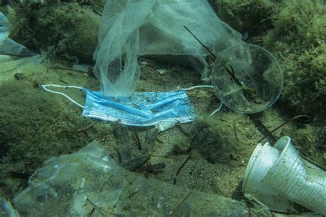 But, some estimates indicate that microplastic pollution on land could be anywhere from 4 to 23 times worse than microplastic pollution in the ocean. COVID-19 Pandemic Has Led To More Ocean Plastic Pollution ...