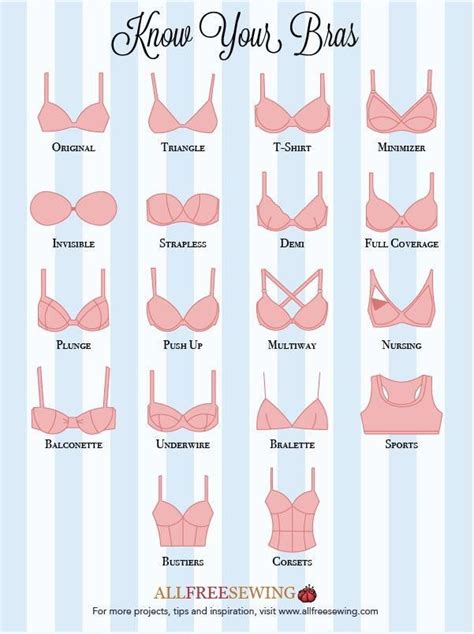 Know Your Bras Guide Infographic Diy Bra Fashion Vocabulary