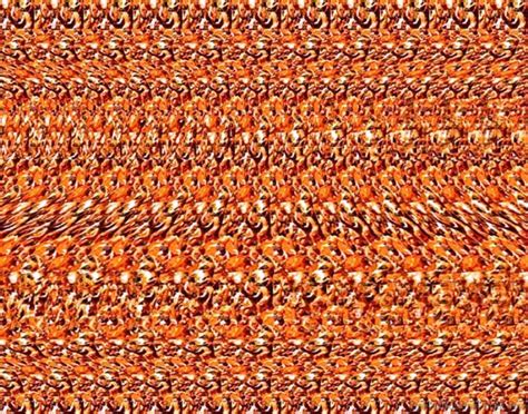 50 Nice Stereogram Illusion